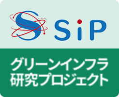 SIP
